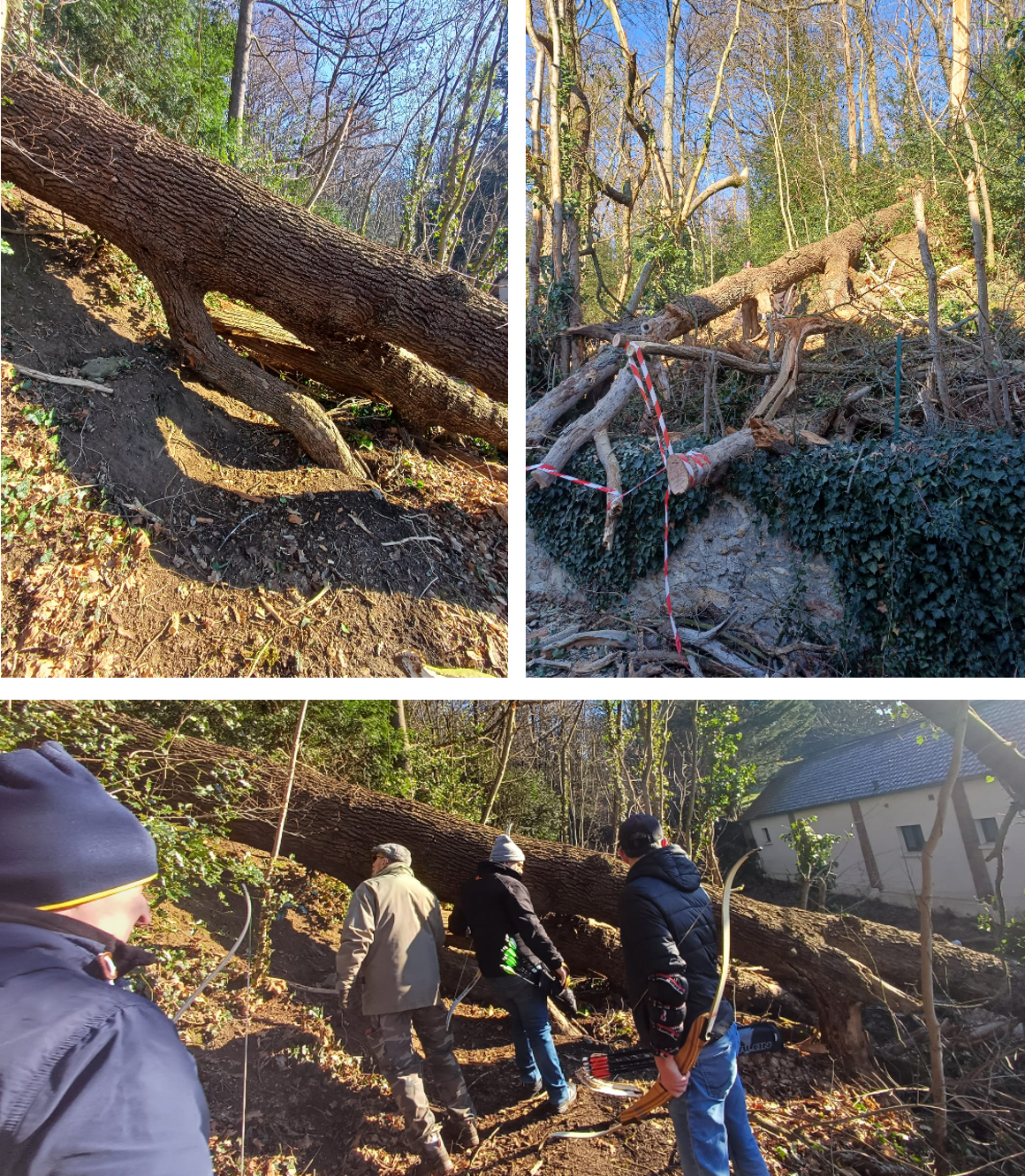 Arbre abattu parcours 2026.png